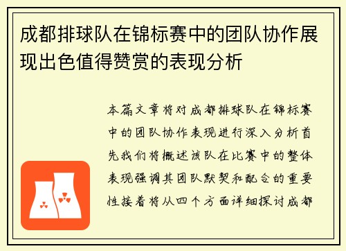 成都排球队在锦标赛中的团队协作展现出色值得赞赏的表现分析
