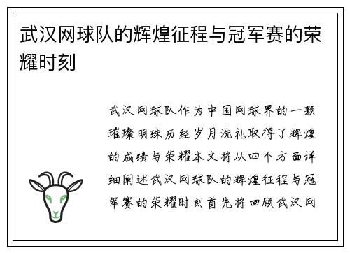 武汉网球队的辉煌征程与冠军赛的荣耀时刻